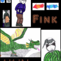 Fink Titel blatt