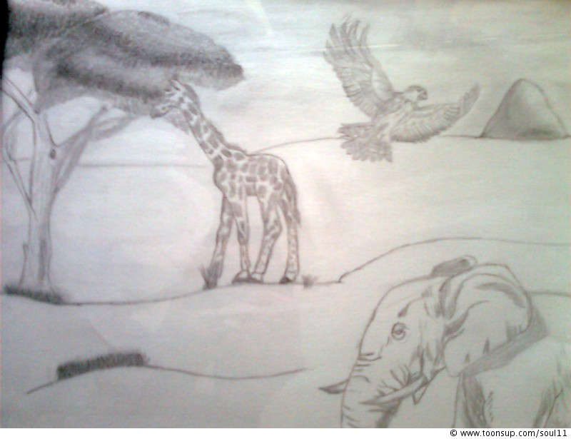 Concept Art / Character Design: Savane 1
