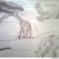 Savane
