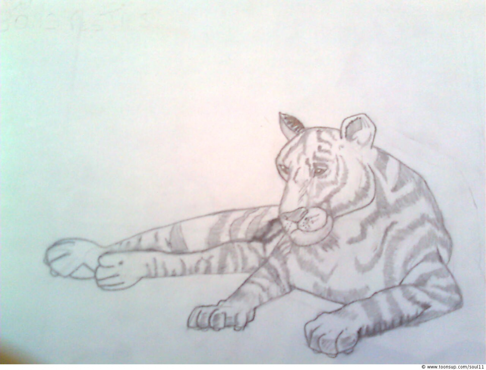 Concept Art / Character Design: Tiger 1