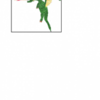 Fink.3