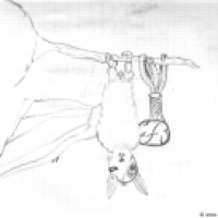 Bat-bot