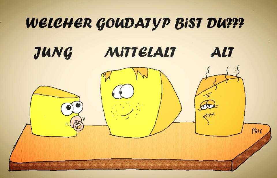 Cartoon: Gouda Typ 1