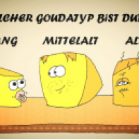 Gouda Typ