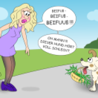 Beifuß