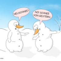 Schneeweiß-heit