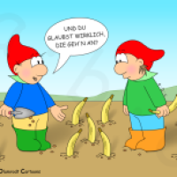 Alles Banane