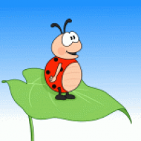 Kleiner Marienkäfer