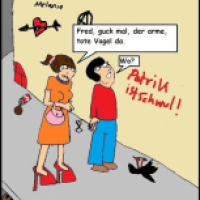 Der arme tote Vogel...