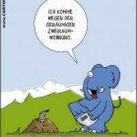 Wohnungssuche