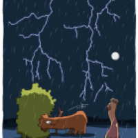 Gewitter