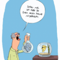 Neuer Freund