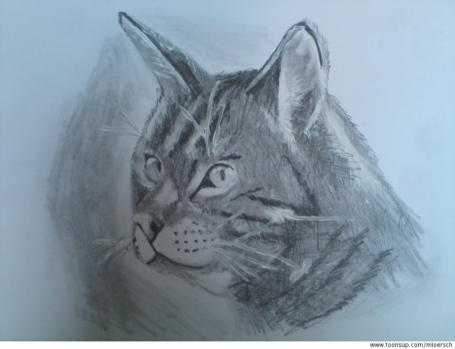 Concept Art / Character Design: Katze 1