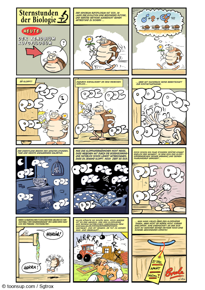 Comic: Xestobium Rufofilosum 1