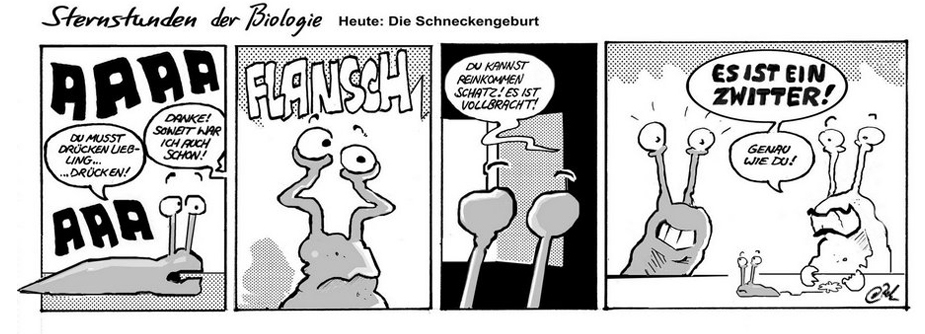 Comic: Schneckengeburt 1