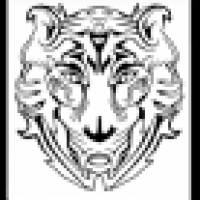 Electric Tiger
