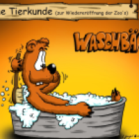 Waschbär