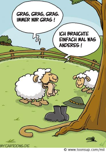 Cartoon: Schafsfutter 1