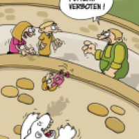 Eisbärfütterung