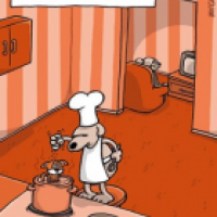 Hundefutter