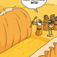 Vertrauen