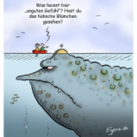 ungutes Gefühl (bad feeling)