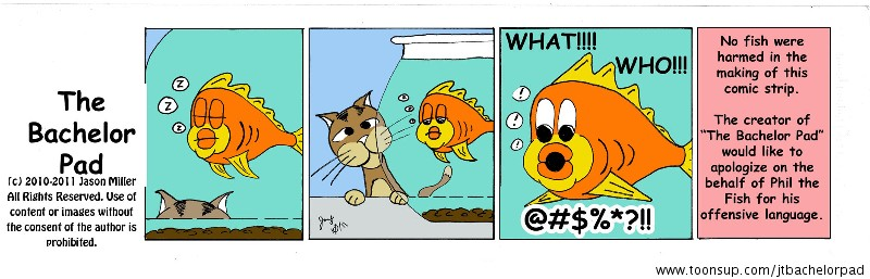 Cartoon: The Bachelor Pad 1
