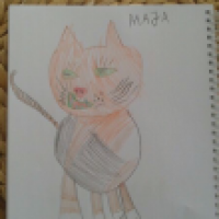 Maja