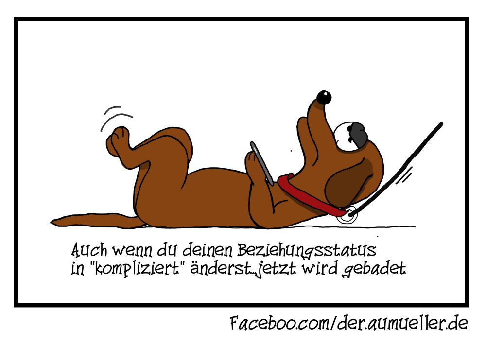 Cartoon: Beziehungsstatus 1