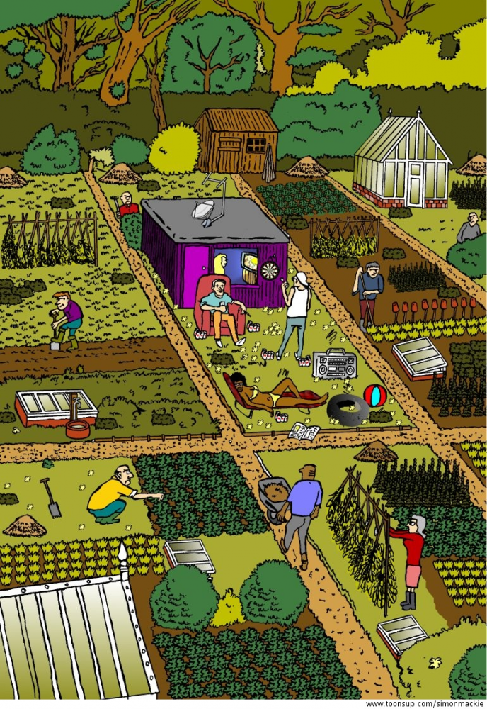 Cartoon: Allotment Hedz 1