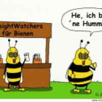 Weight Watchers