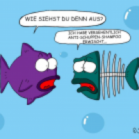 Anti-Schuppen-Shampoo