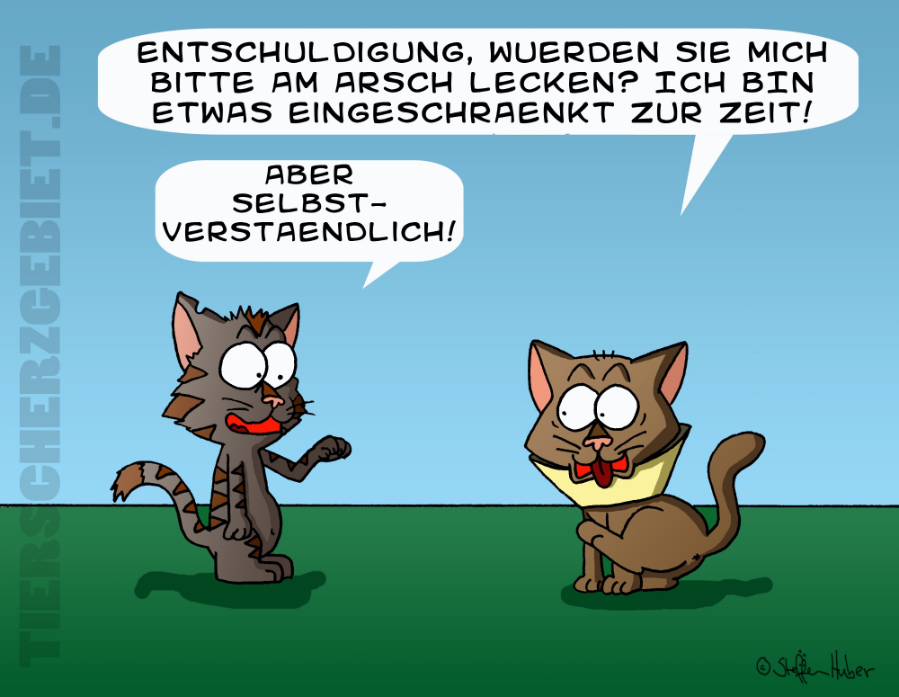 Cartoon: Katzenprobleme 1