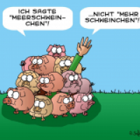 Sprachprobleme