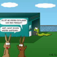 Schlange