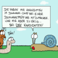 Dschungelcamp
