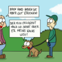 Hundeerziehung