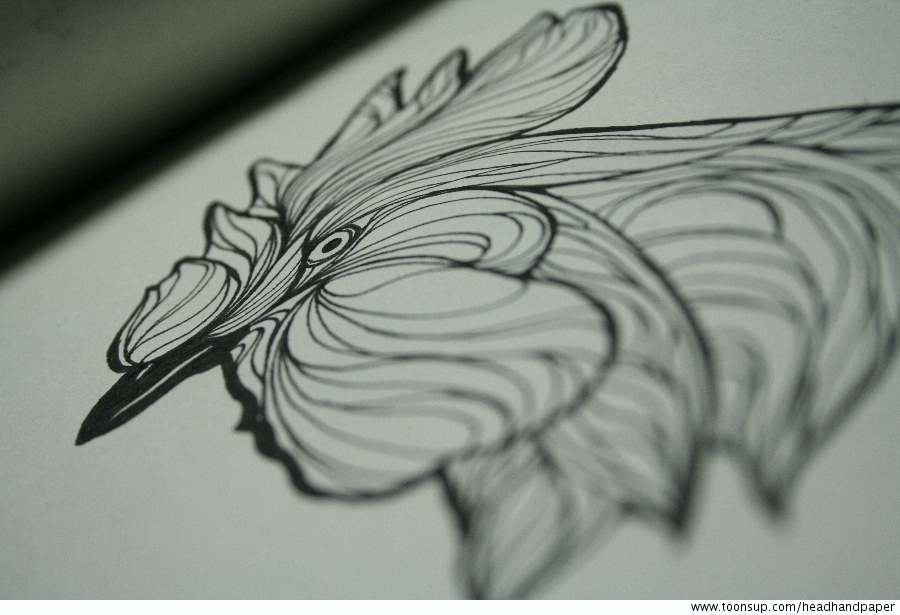 Illustration: Rooster 1