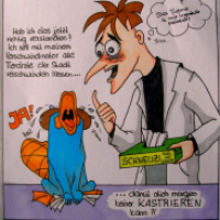 Haustierschicksal