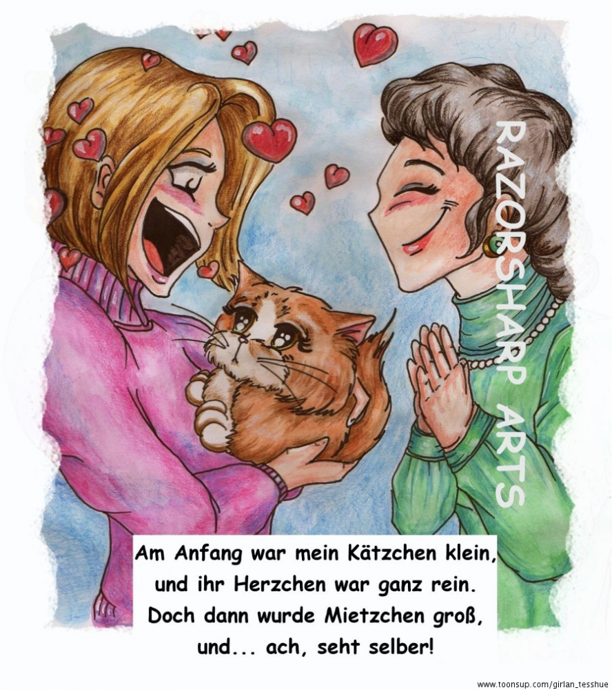 Cartoon: Chara- Vorstellung 'Mensch Mietz !!!' 1
