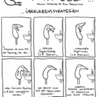 Fink über... Überlebensstrategien.