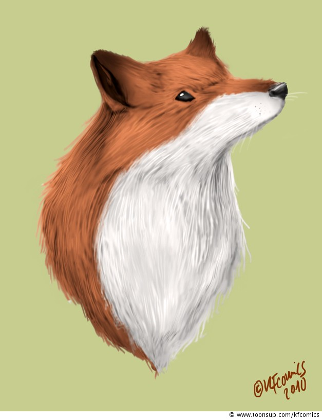 Illustration: Rotfuchs 1