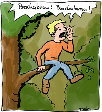 Comic: Waldvogel 2