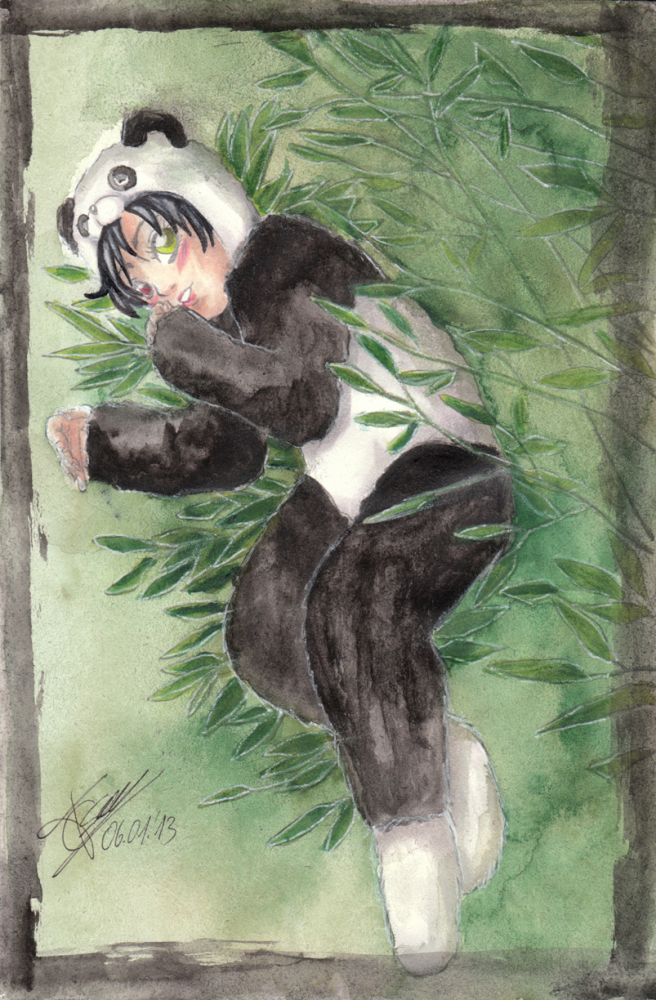 Illustration: Pandakostüm 1