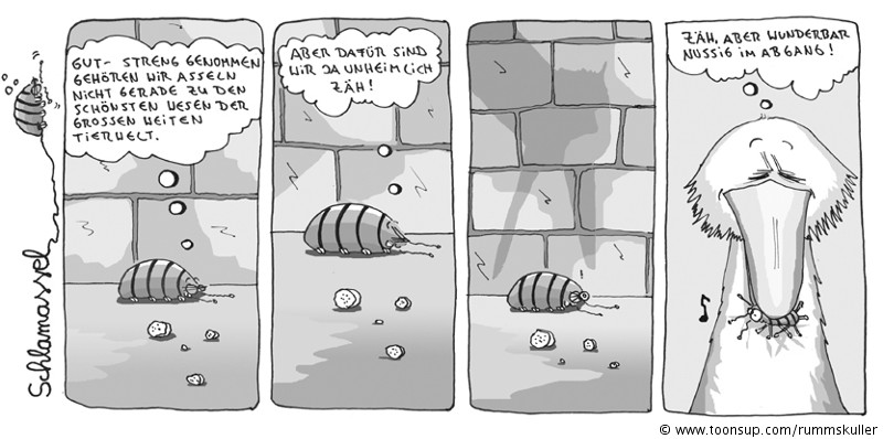 Comic: Schlamassel (Nr. 6) 1