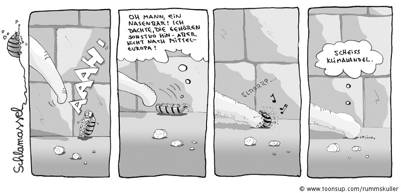 Comic: Schlamassel Nr. 08 1