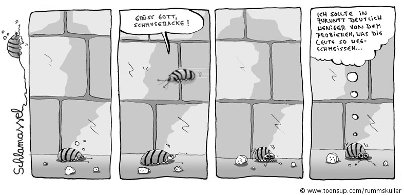 Comic: Schlamassel Nr 10 1