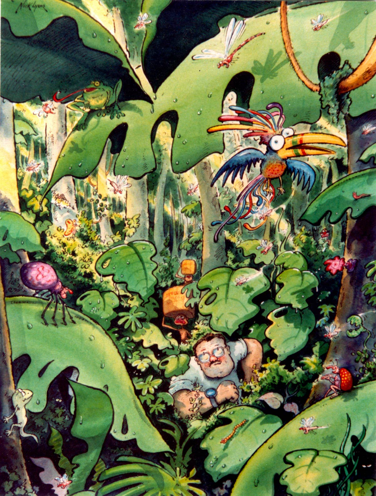 Picture Puzzle: Jungle Cartoon 1