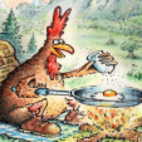 Camping Chicken
