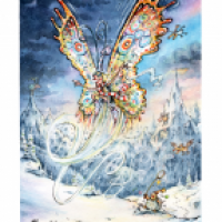 Butterfly & Tortoise